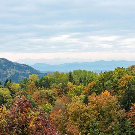 Apartment On The Edge Of The Forest Kleines Wiesental المظهر الخارجي الصورة