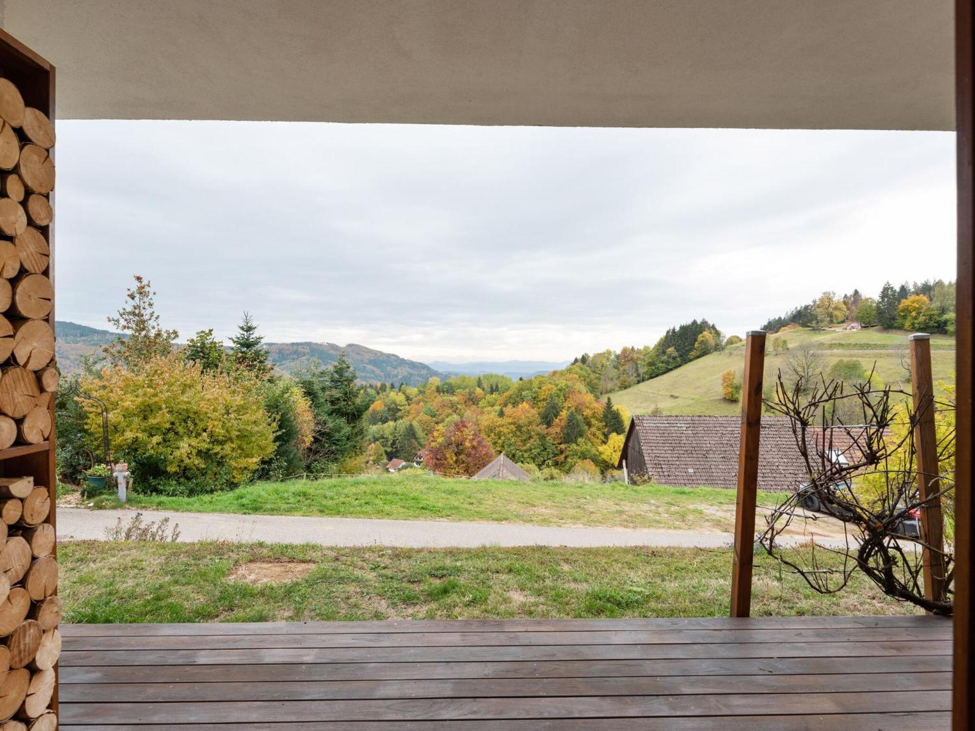 Apartment On The Edge Of The Forest Kleines Wiesental المظهر الخارجي الصورة